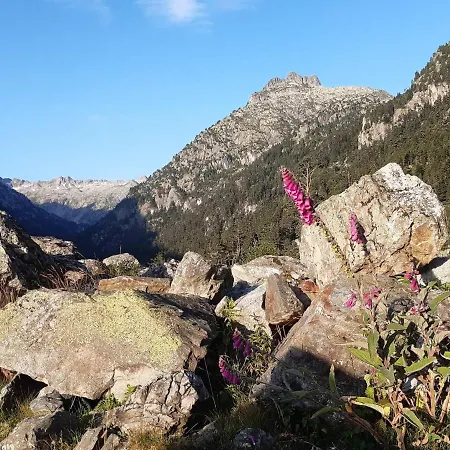 2 Pieces 4/5 Pers, Centre - Fr-1-234-145 *