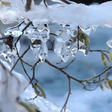 アパート 2 Pieces 4/5 Pers, Centre - Fr-1-234-145 コテレ